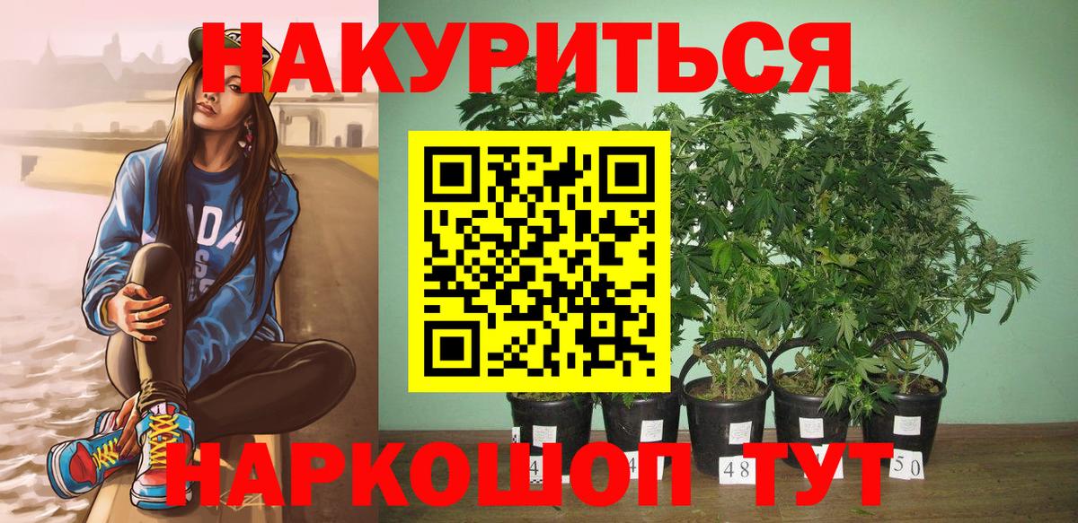 Россия  Каннабис THC 21%  Марихуана планчик  Вход с VPN  Бошки Шишки марихуана 
